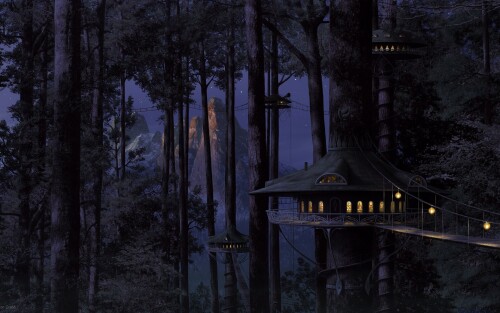 Trees_0061.jpg