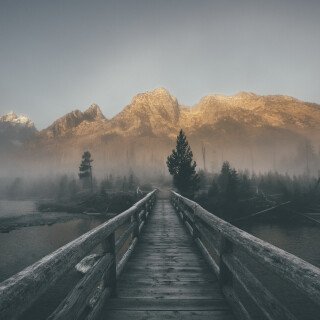 Trees_0094