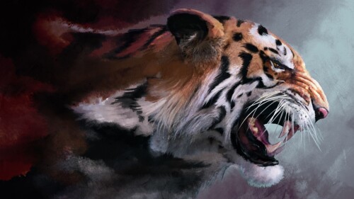 Tigers_10592.jpg