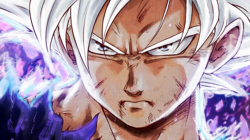 Dragon Ball Super 10244