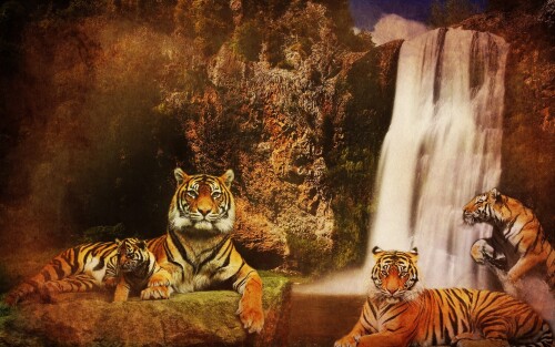 Tigers 10311