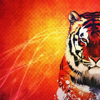 Tigers_10315