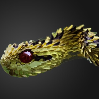 snakes_10210