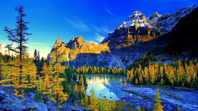 mountain1_491.jpg