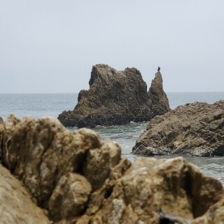 Ocean1_0133