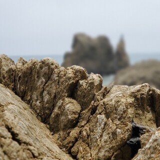 Ocean1_0132