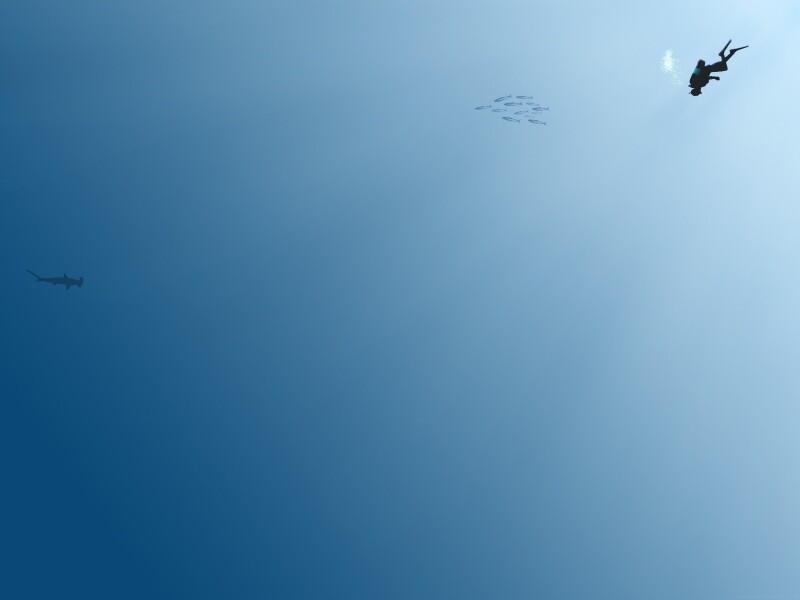 Ocean1_0731.jpg