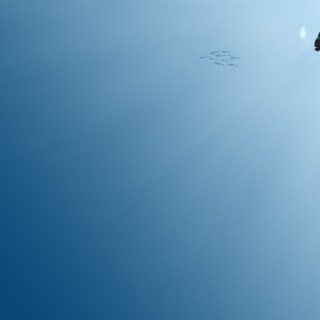 Ocean1_0731