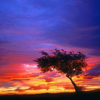 Sunrise1_0929