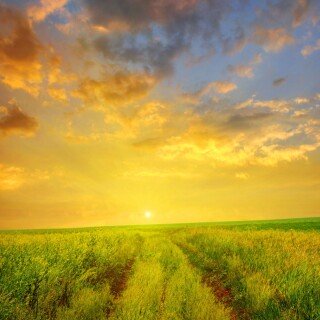 Sunrise1_1014