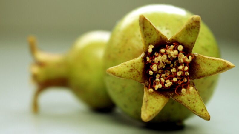 Fruits_0473.jpg