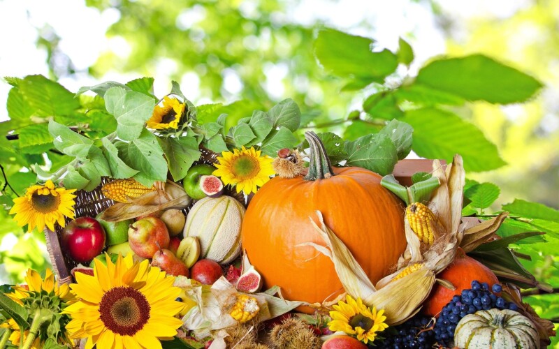 Fruits_0484.jpg