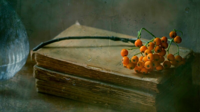 Fruits_0530.jpg