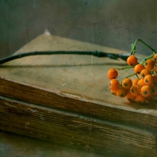 Fruits_0530