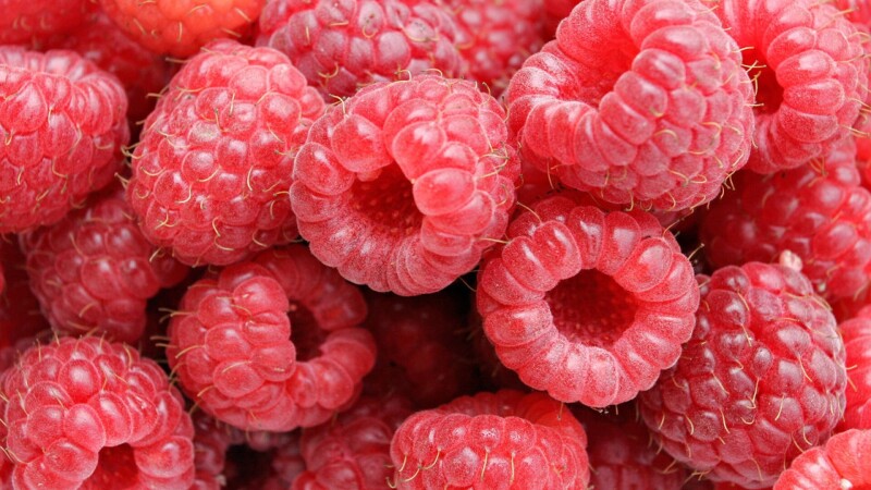 Fruits_0531.jpg