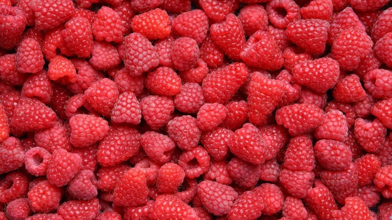 Fruits_0774.jpg