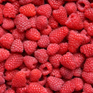 Fruits_0774