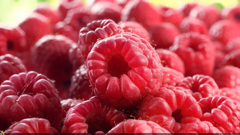 Fruits_0920.jpg