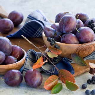 Fruits_0976