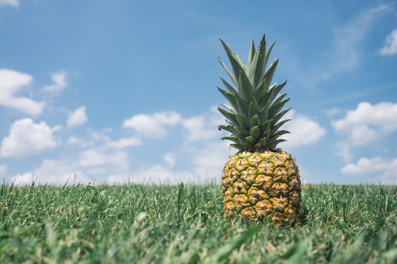 Fruits_1080.jpg