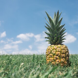 Fruits_1080