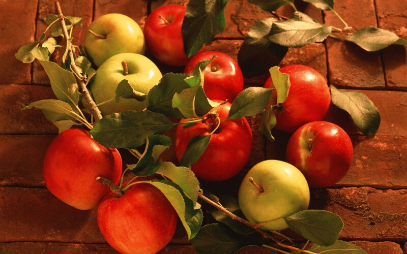 Fruits 0105