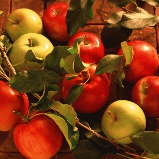 Fruits_0105