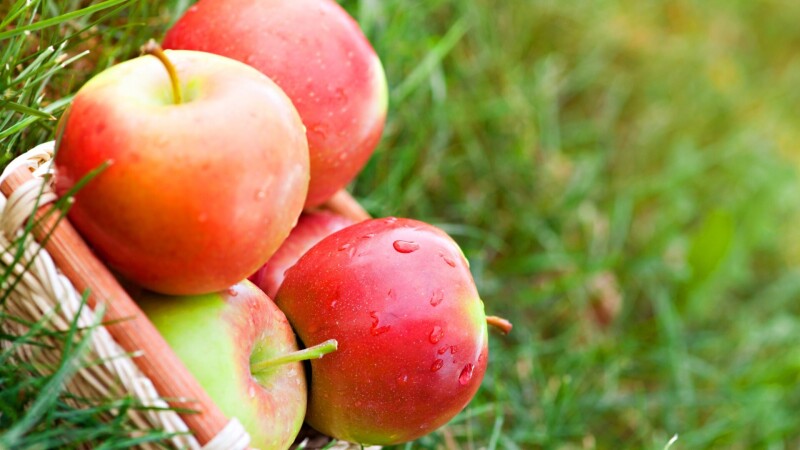 Fruits 0174