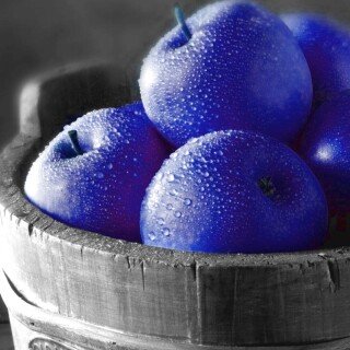 Fruits_0349