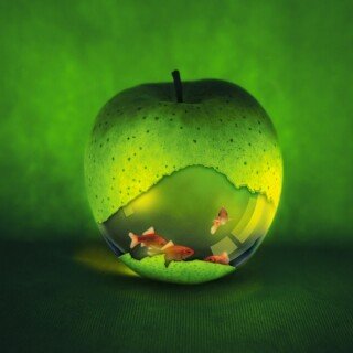 Fruits_0386