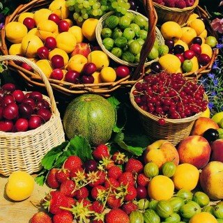 Fruits_0455