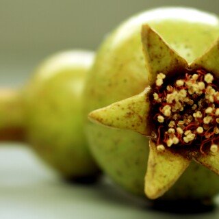 Fruits_0473