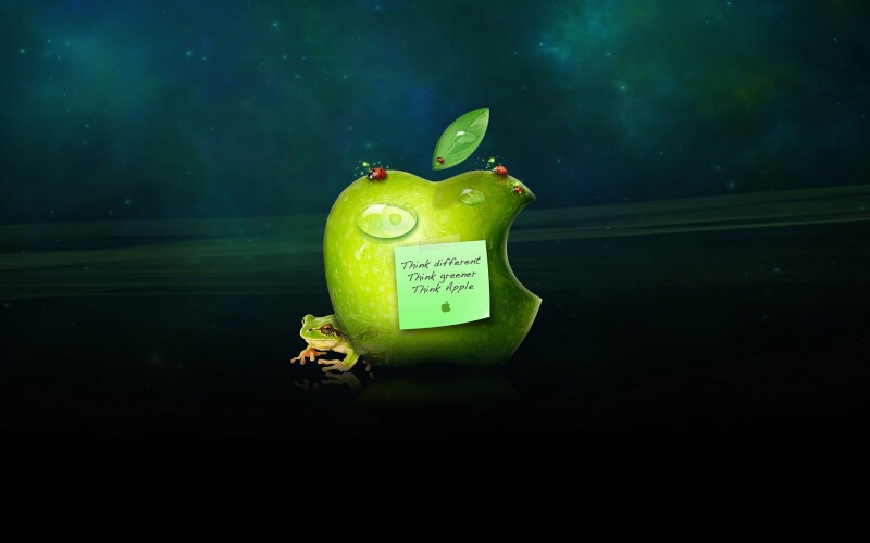 Fruits 0516