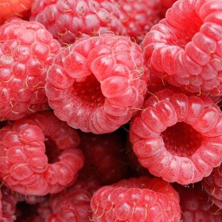 Fruits_0531