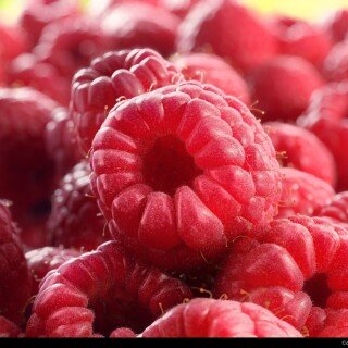 Fruits_0667