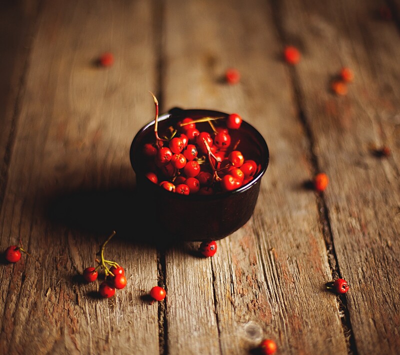 Fruits 0756