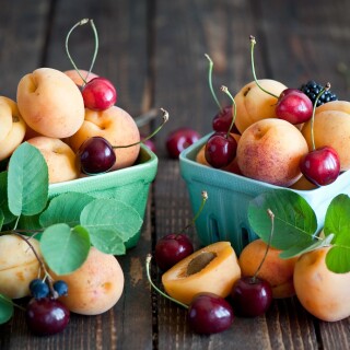 Fruits_0805