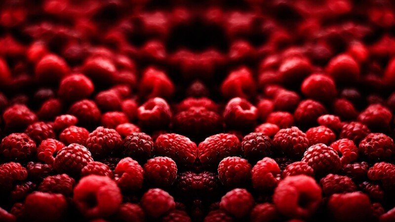 Fruits 0818