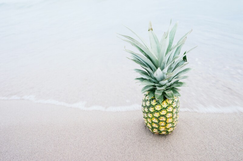 Fruits 0887