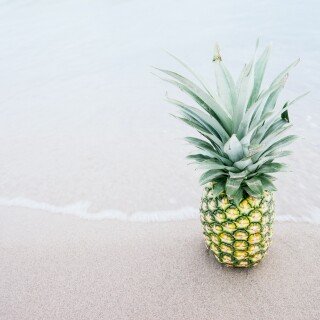 Fruits_0887