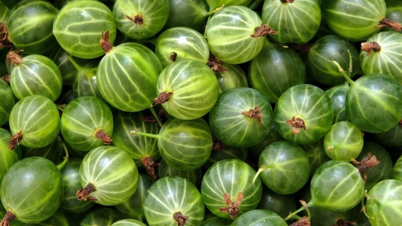 Fruits 0903
