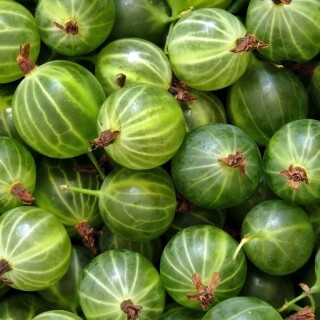 Fruits_0903