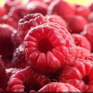 Fruits_0920