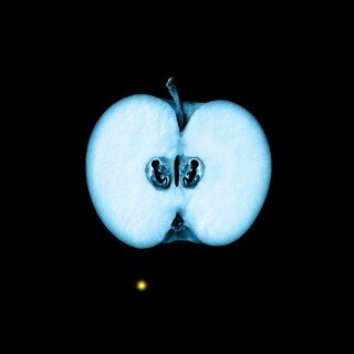 Fruits_0974