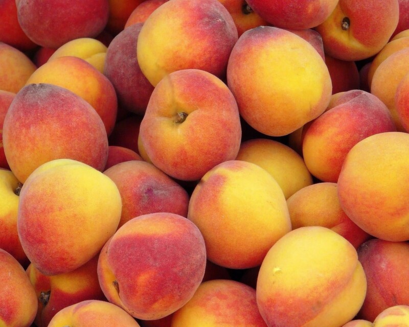 Fruits 1079