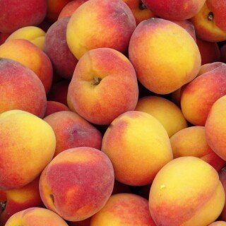 Fruits_1079
