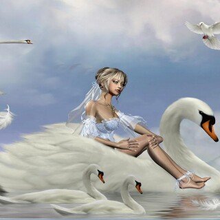 Swan_0213