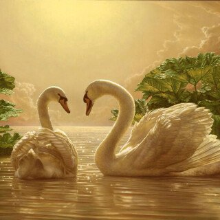 Swan_0291
