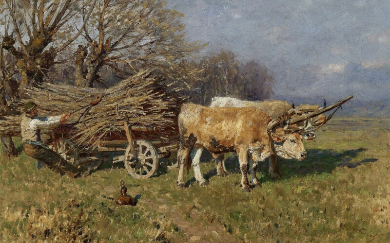 Cow_0210.jpg
