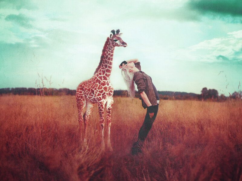 Giraffe_0166.jpg